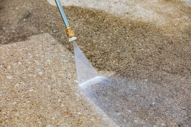 Best Driveway Pressure Washing  in Plattsburgh, NY