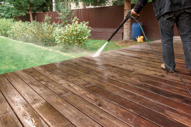 Animal Enclosure Cleaning in Plattsburgh, NY