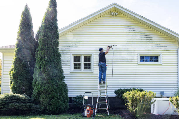 Best Patio and Deck Pressure Washing  in Plattsburgh, NY